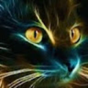 Meet your Posher, Larissa